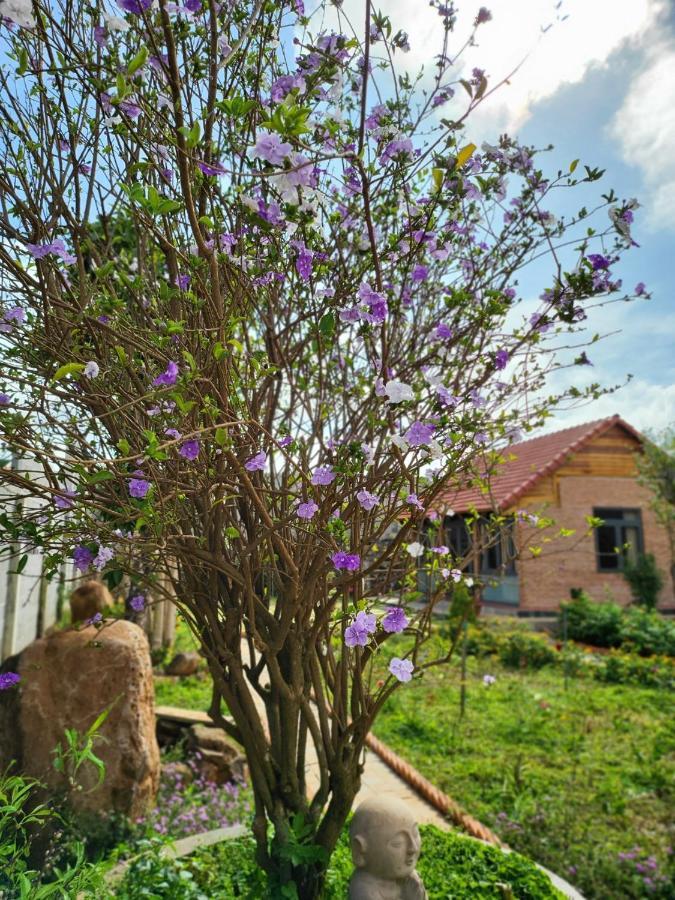 T'Farmstay Villa And Resort Buon Ma Thuot City Exterior photo